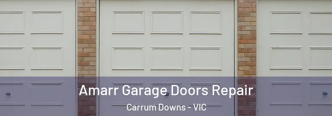Amarr Garage Doors Repair Carrum Downs - VIC