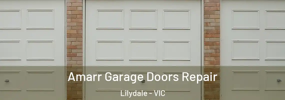Amarr Garage Doors Repair Lilydale - VIC