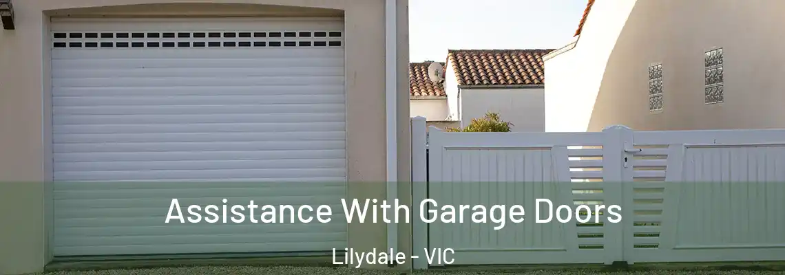 Assistance With Garage Doors Lilydale - VIC