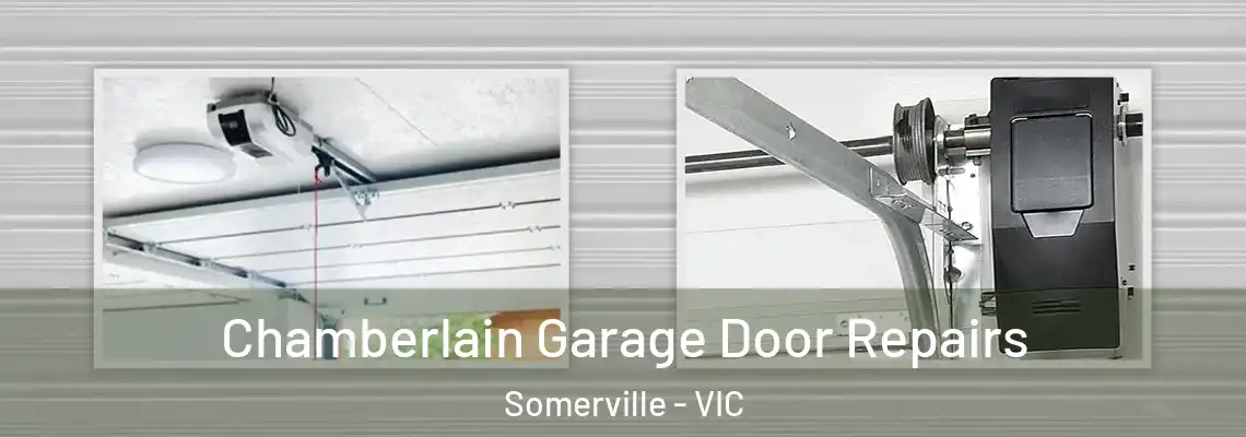 Chamberlain Garage Door Repairs Somerville - VIC