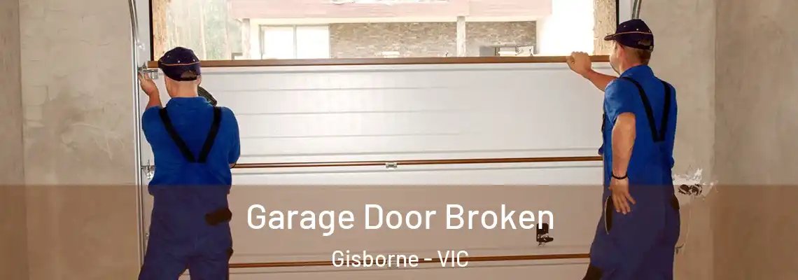 Garage Door Broken Gisborne - VIC