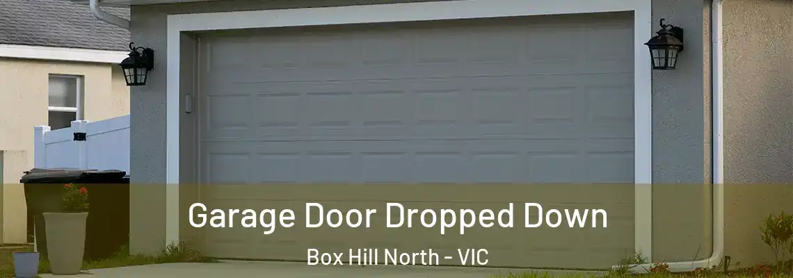  Garage Door Dropped Down Box Hill North - VIC