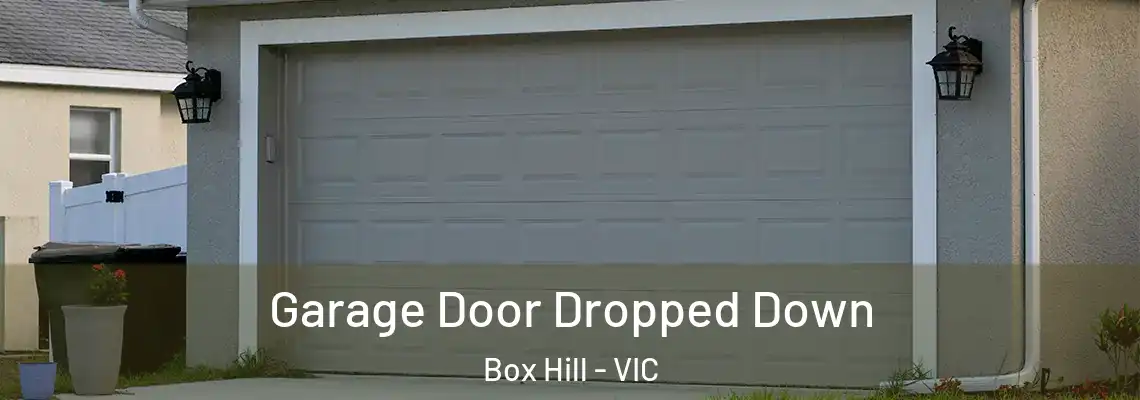  Garage Door Dropped Down Box Hill - VIC