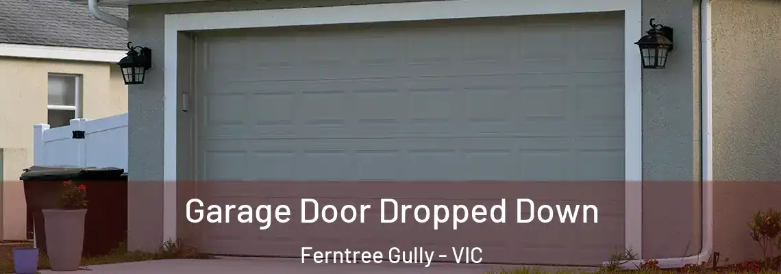  Garage Door Dropped Down Ferntree Gully - VIC