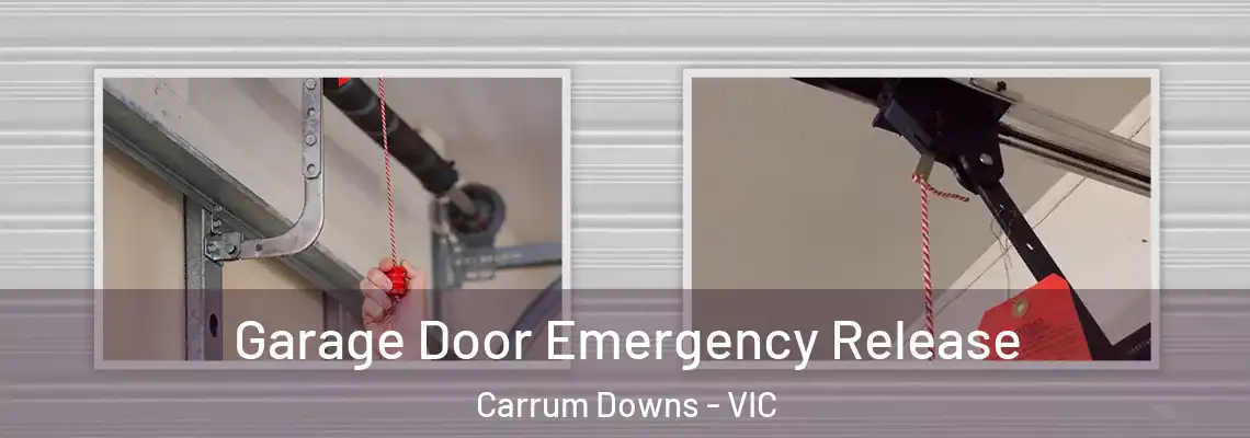 Garage Door Emergency Release Carrum Downs - VIC