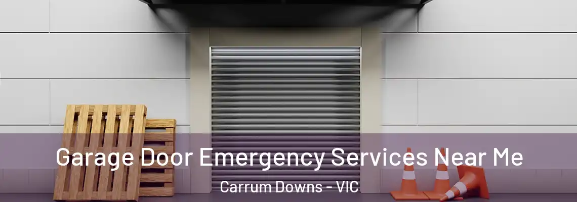  Garage Door Emergency Services Near Me Carrum Downs - VIC