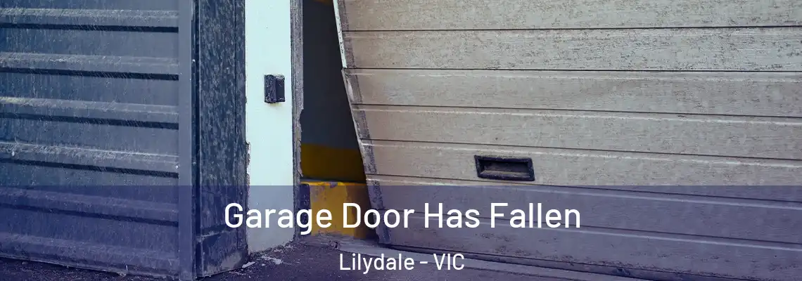  Garage Door Has Fallen Lilydale - VIC
