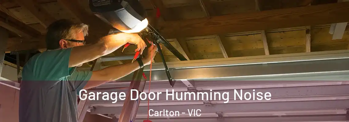  Garage Door Humming Noise Carlton - VIC