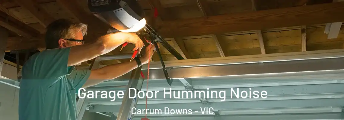  Garage Door Humming Noise Carrum Downs - VIC