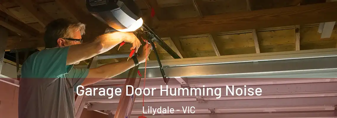  Garage Door Humming Noise Lilydale - VIC