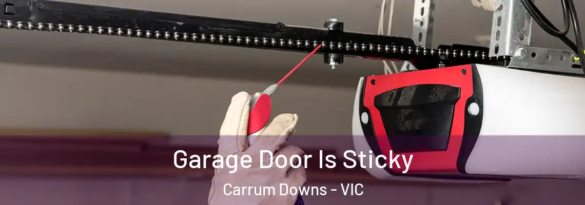 Garage Door Is Sticky Carrum Downs - VIC