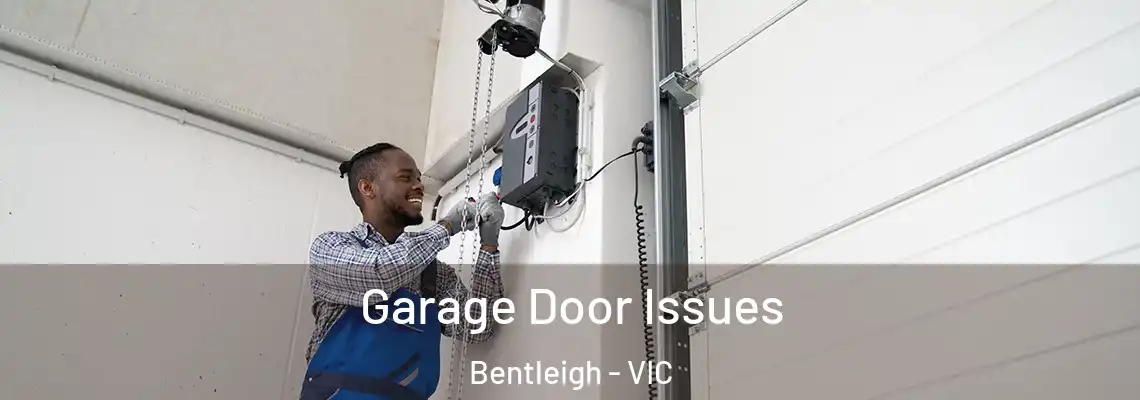  Garage Door Issues Bentleigh - VIC