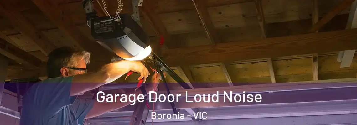 Garage Door Loud Noise Boronia - VIC