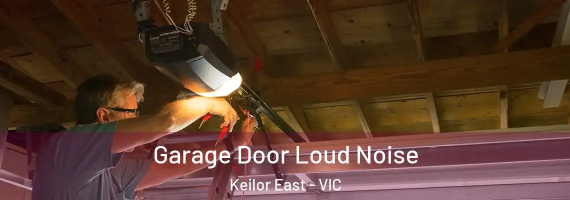  Garage Door Loud Noise Keilor East - VIC
