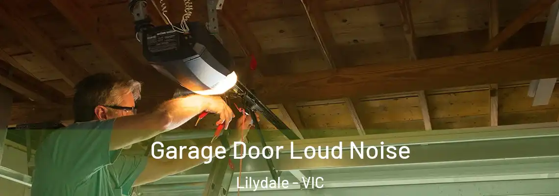 Garage Door Loud Noise Lilydale - VIC