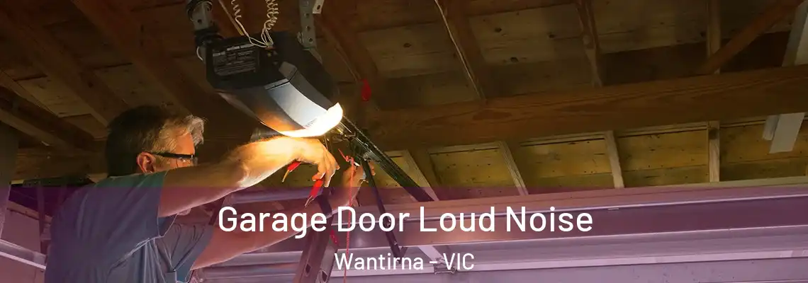 Garage Door Loud Noise Wantirna - VIC