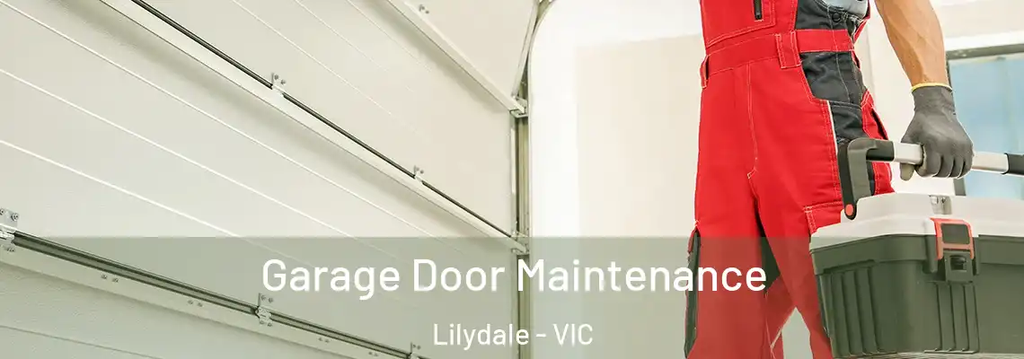 Garage Door Maintenance Lilydale - VIC