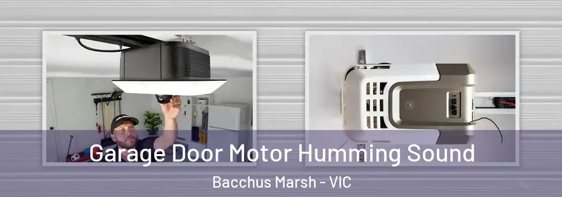  Garage Door Motor Humming Sound Bacchus Marsh - VIC