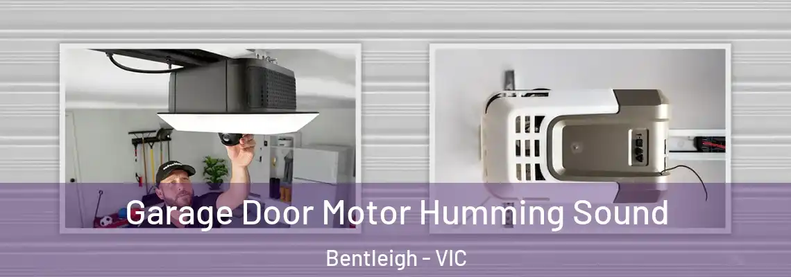 Garage Door Motor Humming Sound Bentleigh - VIC