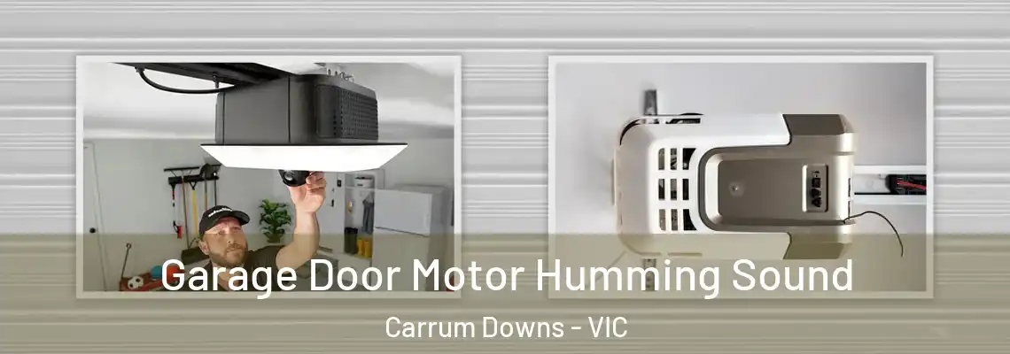 Garage Door Motor Humming Sound Carrum Downs - VIC
