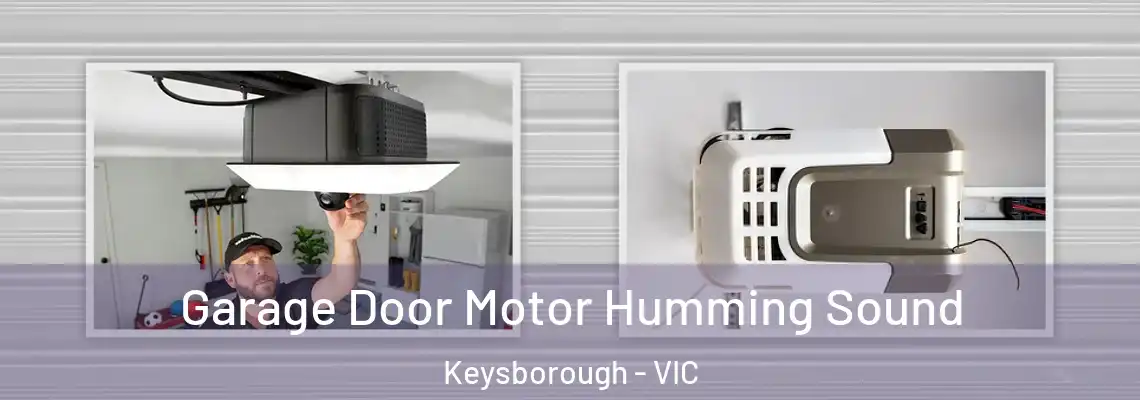 Garage Door Motor Humming Sound Keysborough - VIC
