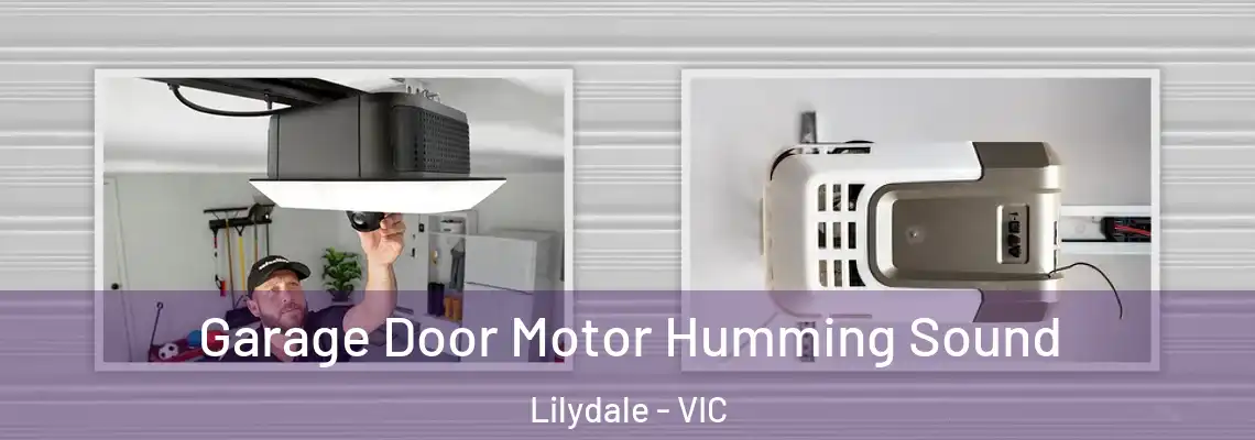 Garage Door Motor Humming Sound Lilydale - VIC