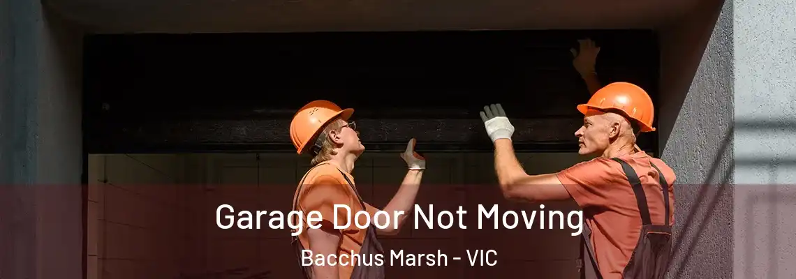 Garage Door Not Moving Bacchus Marsh - VIC