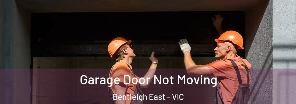  Garage Door Not Moving Bentleigh East - VIC
