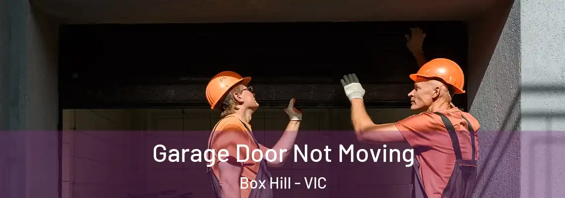  Garage Door Not Moving Box Hill - VIC