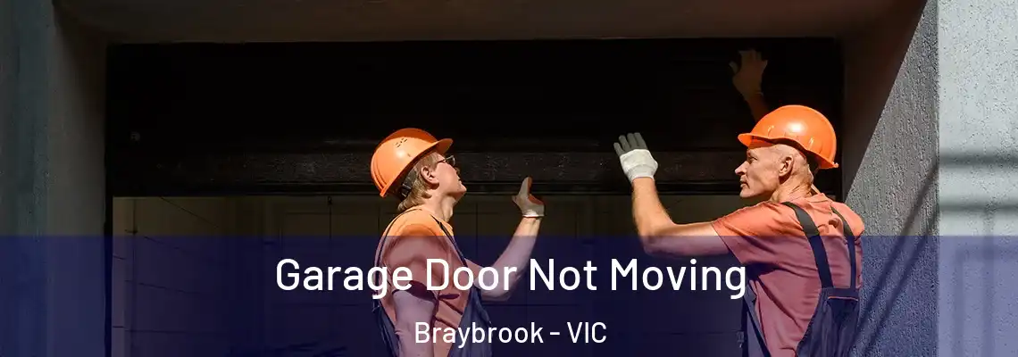  Garage Door Not Moving Braybrook - VIC
