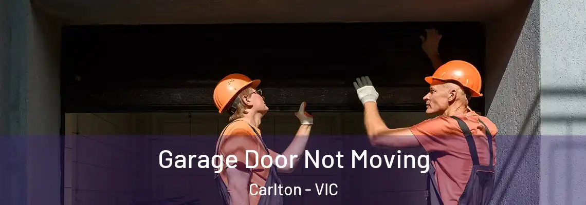 Garage Door Not Moving Carlton - VIC