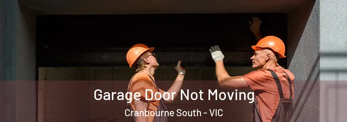  Garage Door Not Moving Cranbourne South - VIC