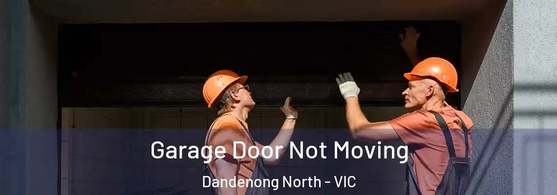  Garage Door Not Moving Dandenong North - VIC