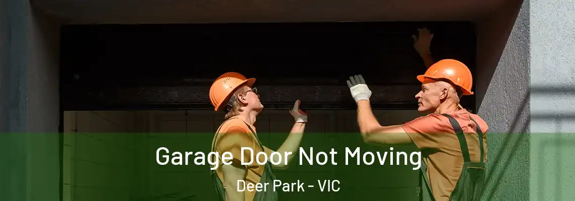 Garage Door Not Moving Deer Park - VIC