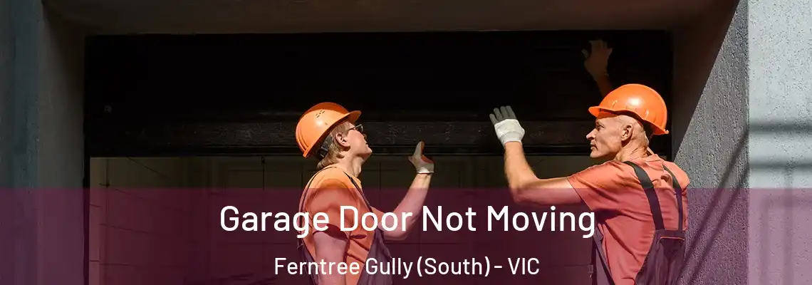  Garage Door Not Moving Ferntree Gully (South) - VIC