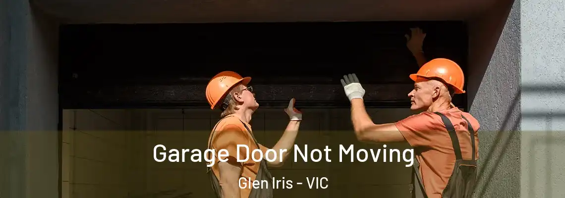  Garage Door Not Moving Glen Iris - VIC