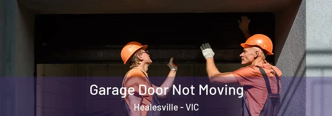 Garage Door Not Moving Healesville - VIC