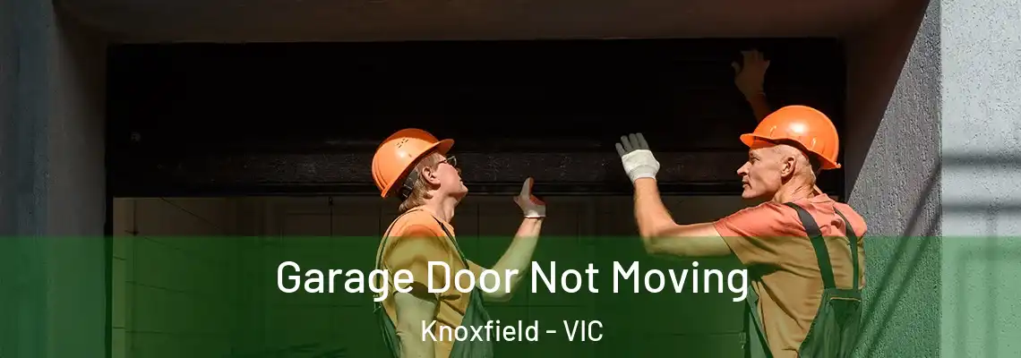  Garage Door Not Moving Knoxfield - VIC