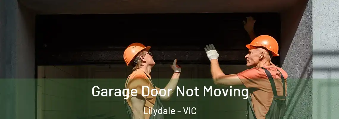 Garage Door Not Moving Lilydale - VIC
