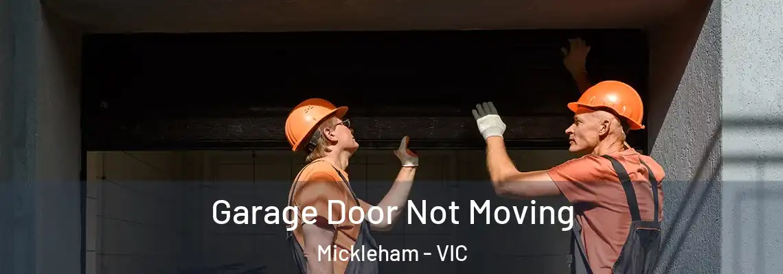  Garage Door Not Moving Mickleham - VIC