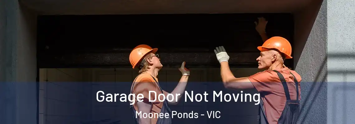  Garage Door Not Moving Moonee Ponds - VIC