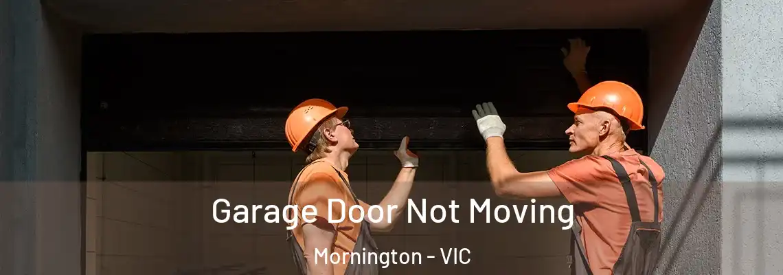 Garage Door Not Moving Mornington - VIC