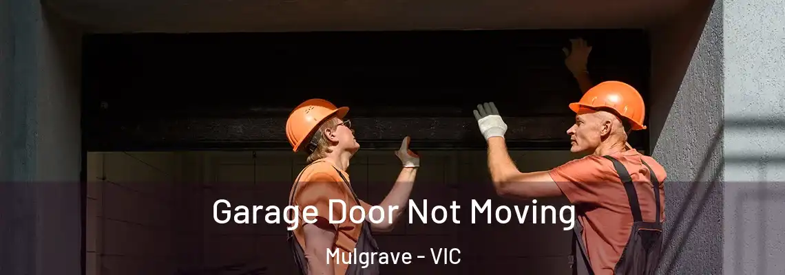  Garage Door Not Moving Mulgrave - VIC