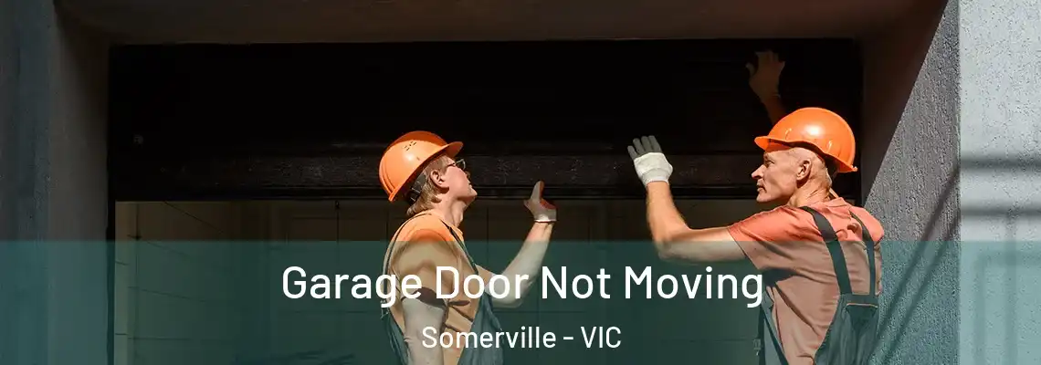  Garage Door Not Moving Somerville - VIC