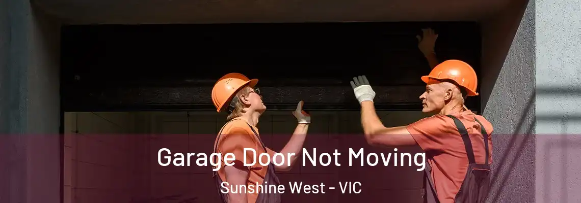  Garage Door Not Moving Sunshine West - VIC