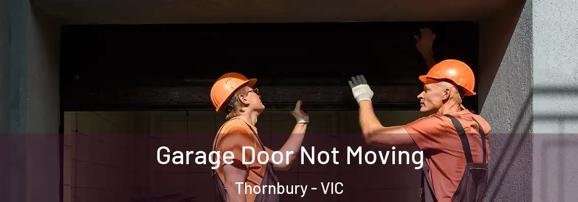  Garage Door Not Moving Thornbury - VIC