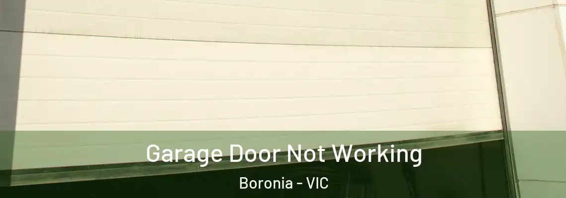  Garage Door Not Working Boronia - VIC