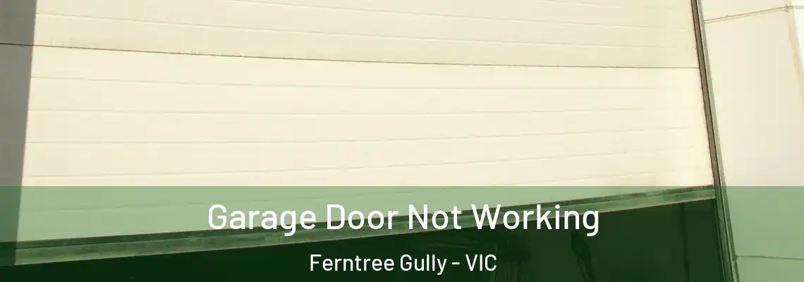 Garage Door Not Working Ferntree Gully - VIC