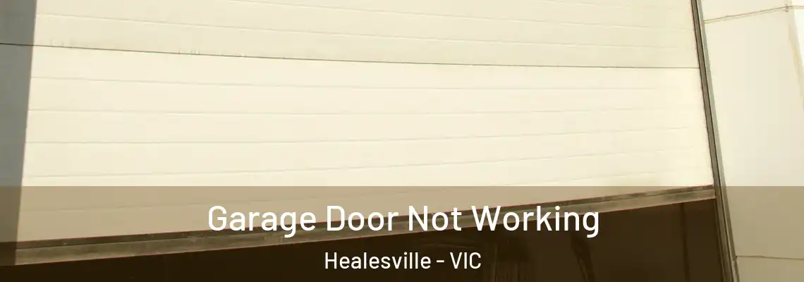 Garage Door Not Working Healesville - VIC