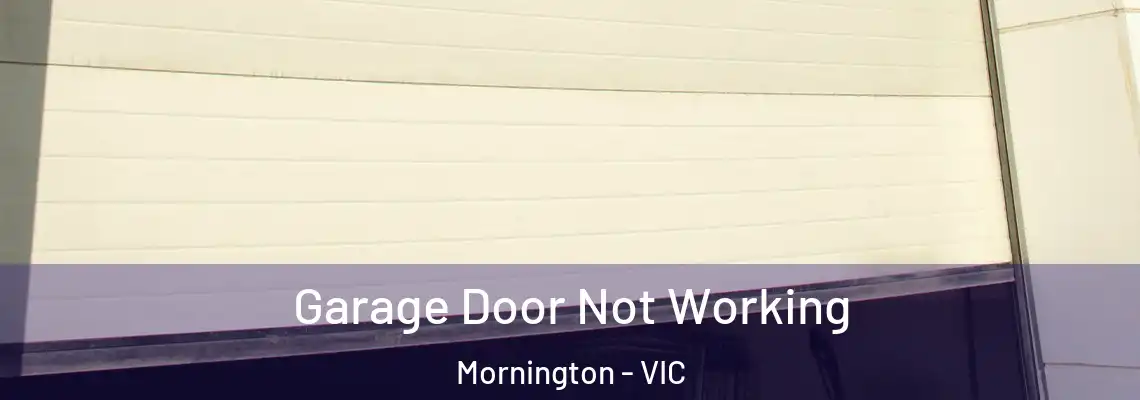  Garage Door Not Working Mornington - VIC